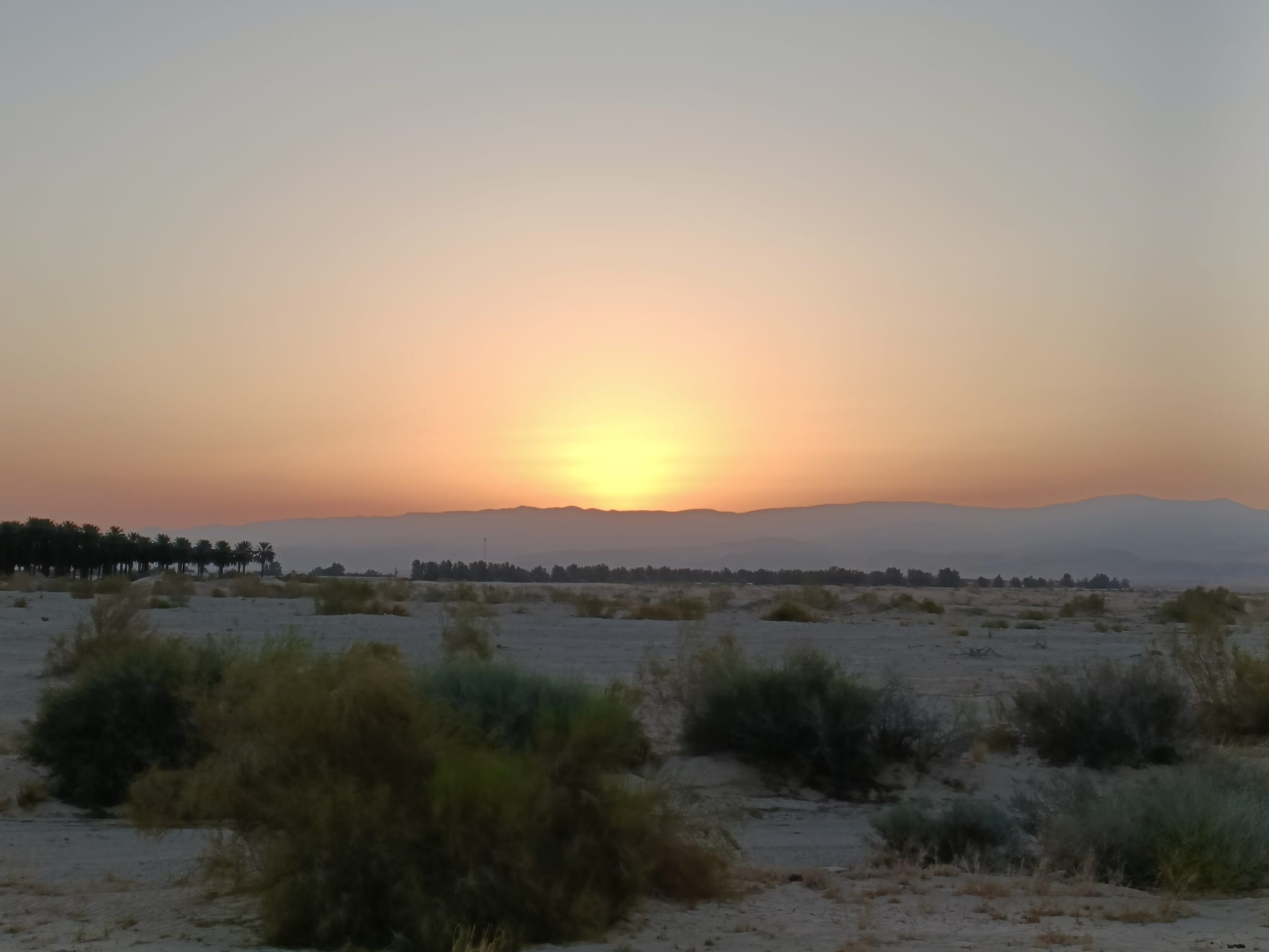 זריחה